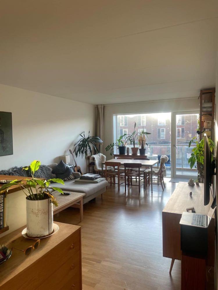 Bright, Spacious And Cosy Close To Town, Nature And Water Homestay *